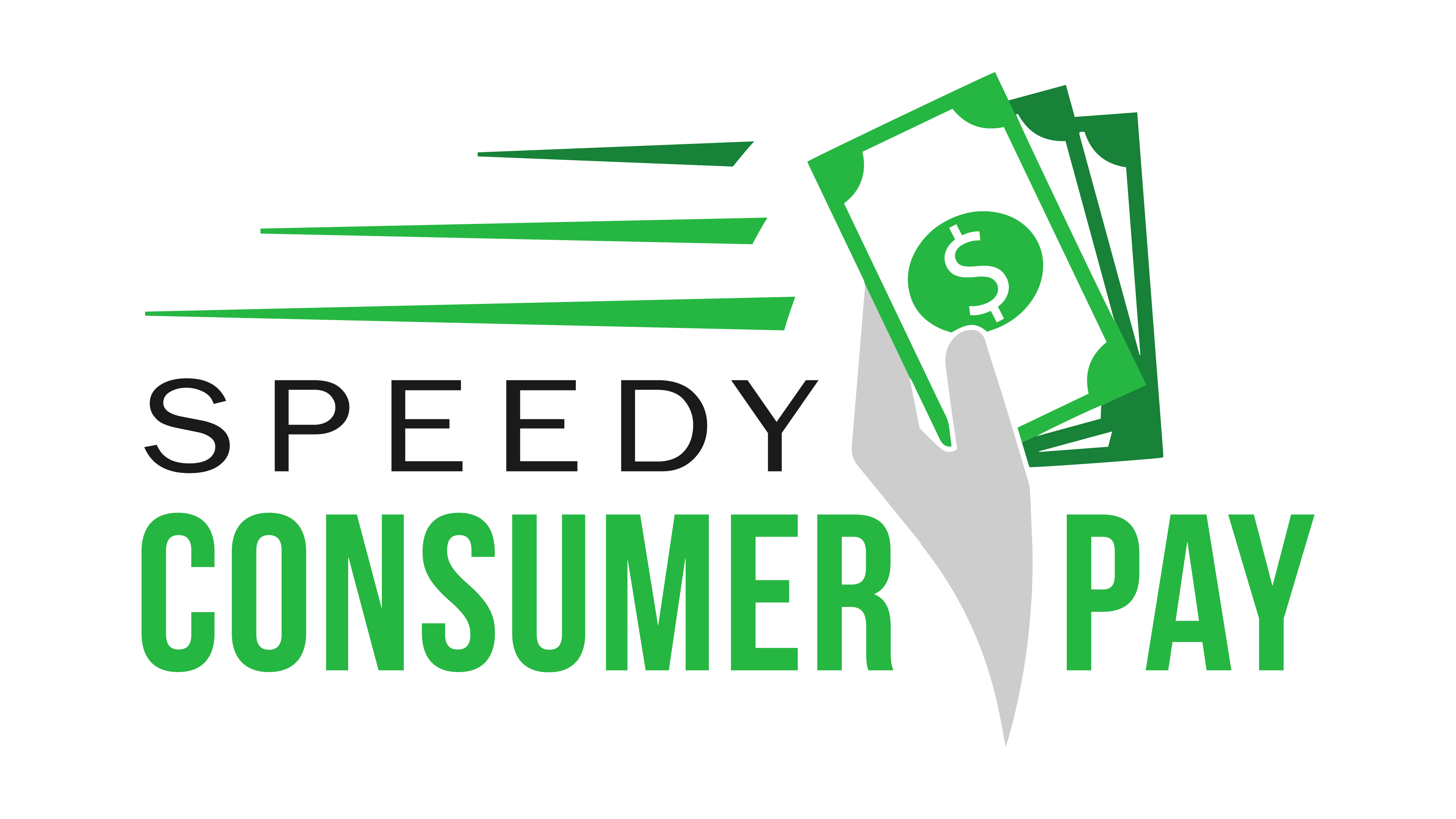 Speedy Holdings Group